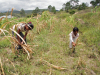 A pesar de su potencial para la agricultura y de ser un país megadiverso, las cifras de desnutrición en Guatemala siguen estando entre las más altas de América Latina. 