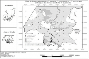 Mapa de zonas de vida y distribución de sitios de evaluación de regeneración natural de Pinus pseudostrobus, P. tecunumanii, P. oocarpa, en los departamentos de Huehuetenango, Quiché y Totonicapán