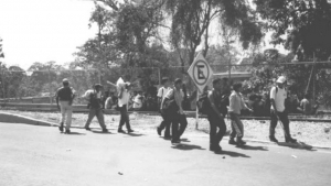 Grupo de trabajadores agrícolas caminando hacia la frontera Guatemala México.