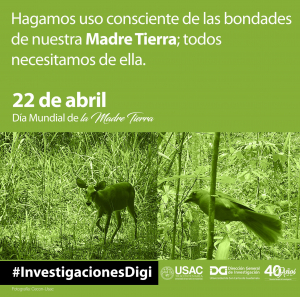 Día Mundial de la Madre Tierra