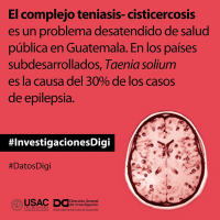 El complejo teniasis-cisticercosis