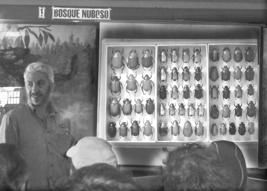 Enio Boanerges Cano Dávila (1964-2021) a un año de su fallecimiento: In memoriam por Magaly Arrecis, Carolina Rosales de Zea y Javier Rivas Romero