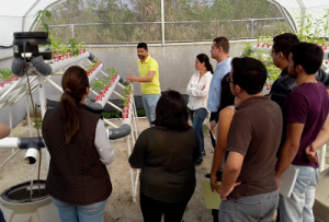 Charla divulgativa del proyecto de acuaponía con chiles nativos de Guatemala 