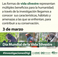  Día Mundial de la Vida Silvestre