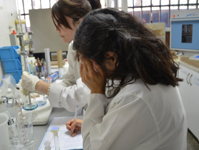 99% de los estudiantes que participaron en este estudio presentaron al final del ciclo lectivo, cuadros de estrés de moderado a severo. 