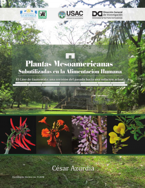 Ruinas del Ceibal (Vivian González); diferentes tipos de flores (Nicholas Hellmuth)