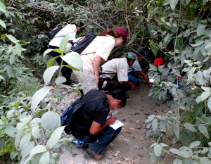 Investigadores en trabajo de campo sobre mamíferos en peligro de extinción en el Parque Laguna Lachuá, proyecto financiado por la DIGI-USAC
