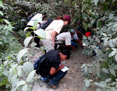 Investigadores en trabajo de campo sobre mamíferos en peligro de extinción en el Parque Laguna Lachuá, proyecto financiado por la DIGI-USAC