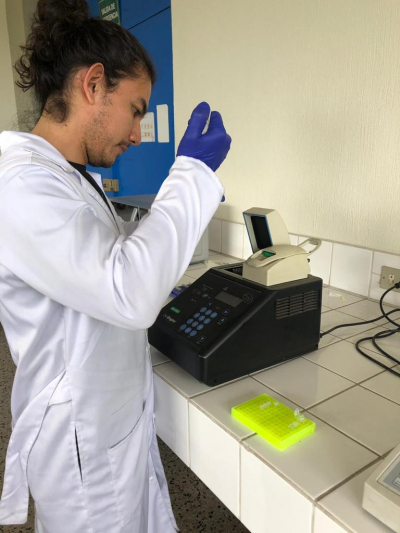 M Sc. Alejandro Ruiz, en el Laboratorio de Biotecnología Vegetal, Facultad de Agronomía, USAC