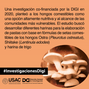 Hongos comestibles