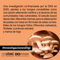 Hongos comestibles