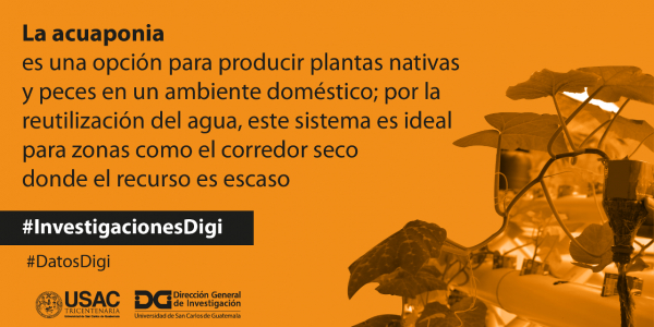 Acuaponía