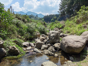 Relación e interacción de los diferentes recursos naturales que provee el planeta tierra