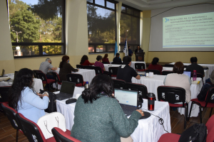 Inducción a coordinadores de investigaciones a ejecutar en 2023.