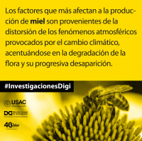 Abejas Investigaciones Digi