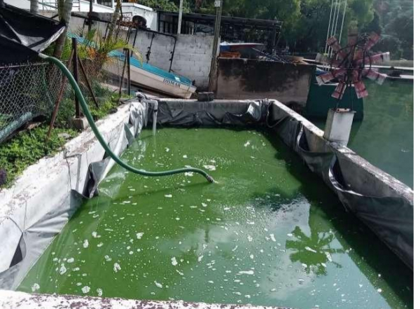 Pileta para la aplicación del tratamiento con nanoburbujas de oxígeno al agua extraída del Lago de Amatitlán